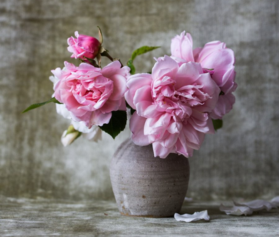 What To Do With an Empty Cremation Urn: 5 Smart Ways You Can Reuse Decorative Cremation Urns