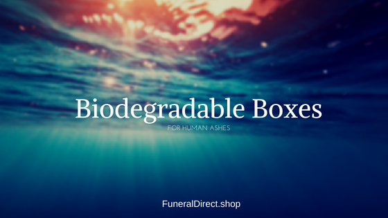 Biodegradable Boxes for Human Ashes