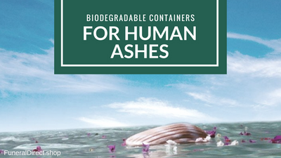 Biodegradable Containers for Human Ashes