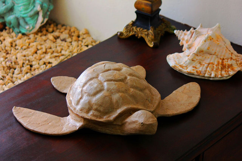 Biodegradable Turtle Urn