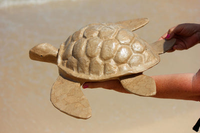 Biodegradable Turtle Urn
