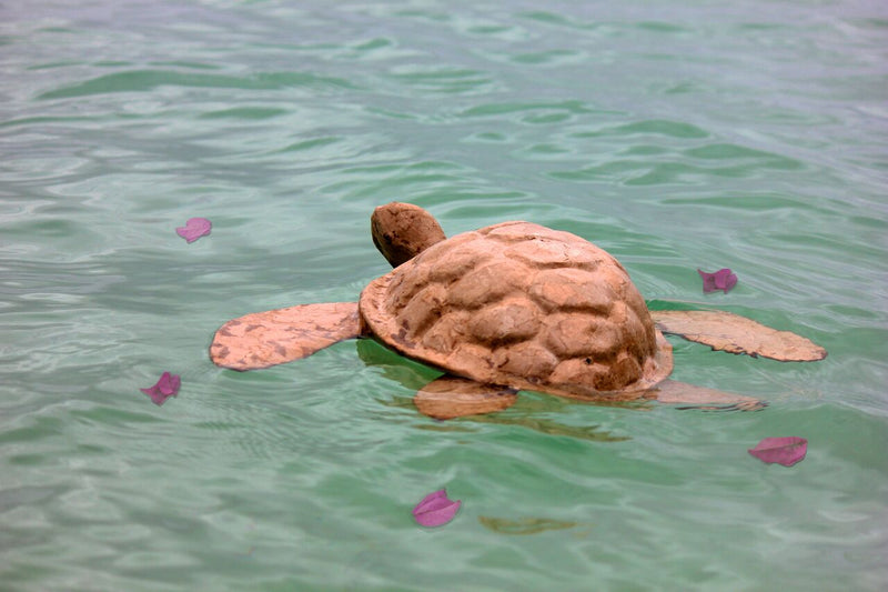 Biodegradable Turtle Urn