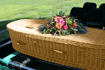 Willow Casket