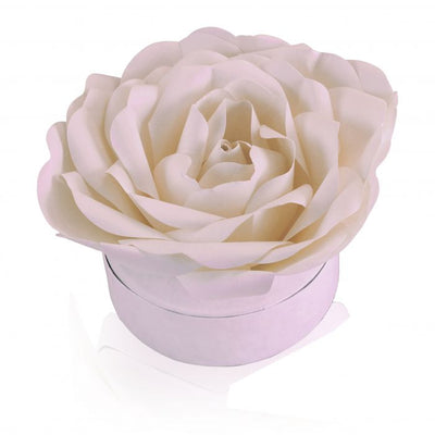Laguna Biodegradable Urn for Sea Burial