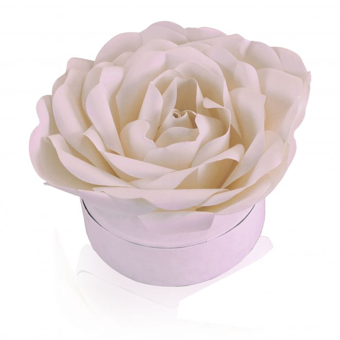 Laguna Biodegradable Urn for Sea Burial