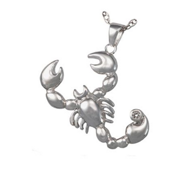 Zodiac Scorpio Cremation Necklace