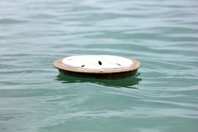 Sand Dollar Biodegradable Urn
