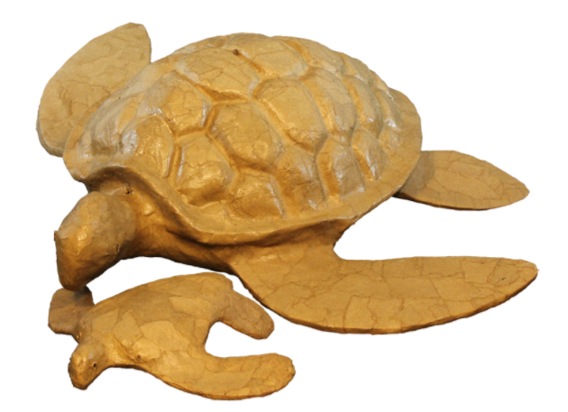 Biodegradable Turtle Urn