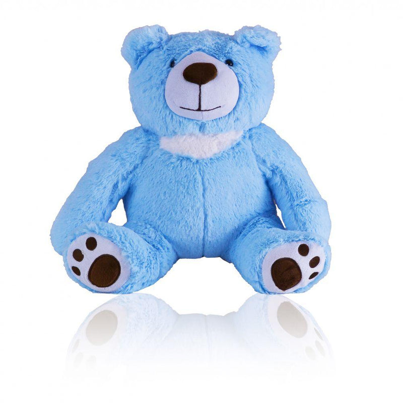 Baby Blue Teddy Bear Urn