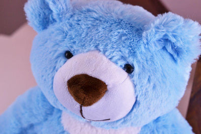 Baby Blue Teddy Bear Urn